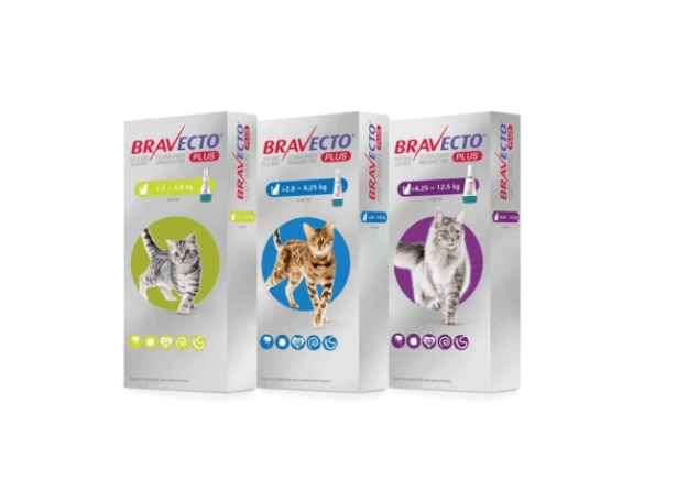 BRAVECTO® PLUS for Cats